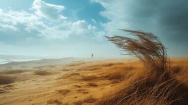 Météo: alerte vent violent et vent de sable dans ces régions d'Algérie