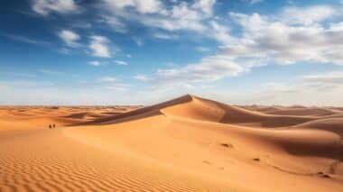 Météo Algérie Un Mois De Janvier Inhabituellement Doux