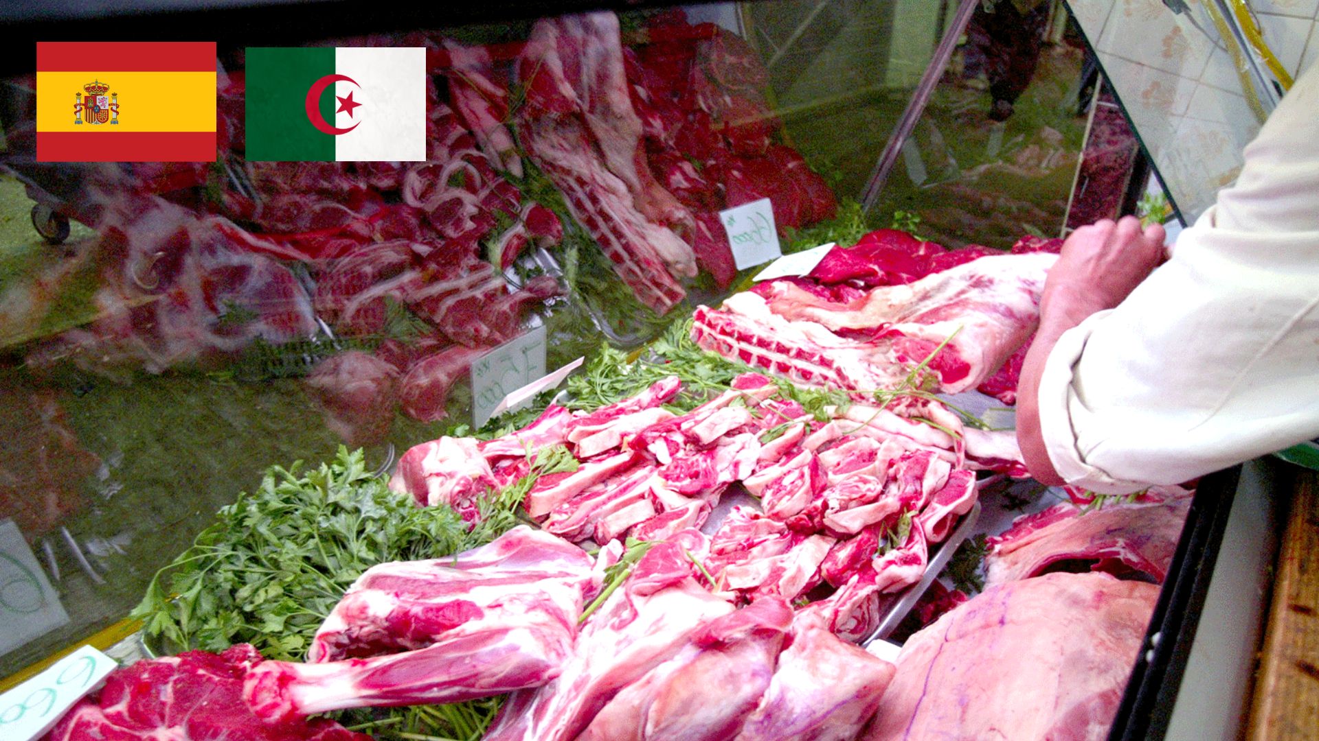 Import of fresh meat from Spain authorized