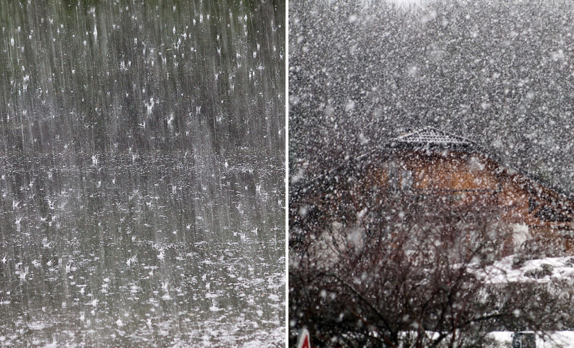 M T O Alg Rie Alerte Sur Des Pluies Abondantes Et De La Neige Sur Ces