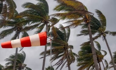 Météo Algérie : 17 wilayas placées en alerte vents violents