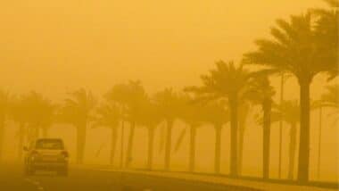 Météo Algérie : les vents et vent de sable persistent sur ces wilayas