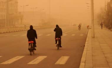 Météo Algérie : chaleur estivale et alerte pluie, orages, vents de sable et vents violents