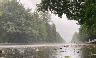 Météo Algérie : vents forts, neige et verglas. Voici les wilayas concernées par les alertes