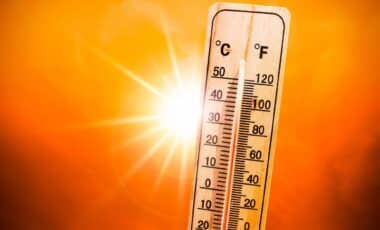 Météo Algérie : les premières alertes canicule émises pour plusieurs wilayas