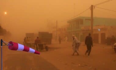 Météo Algérie : orages, vents violents et vent de sable, les perturbations de retour sur ces wilayas