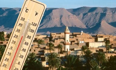 Météo Algérie : les températures en hausse, la canicule arrive déjà ?