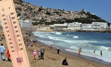 Météo Algérie : il fera très chaud, l'été pointe son nez