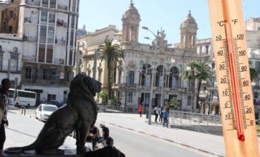 Météo Algérie : températures en hausse, vers un week-end estival