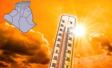 Météo Algérie : la vague de chaleur persiste, les tempêtes de sable de retour