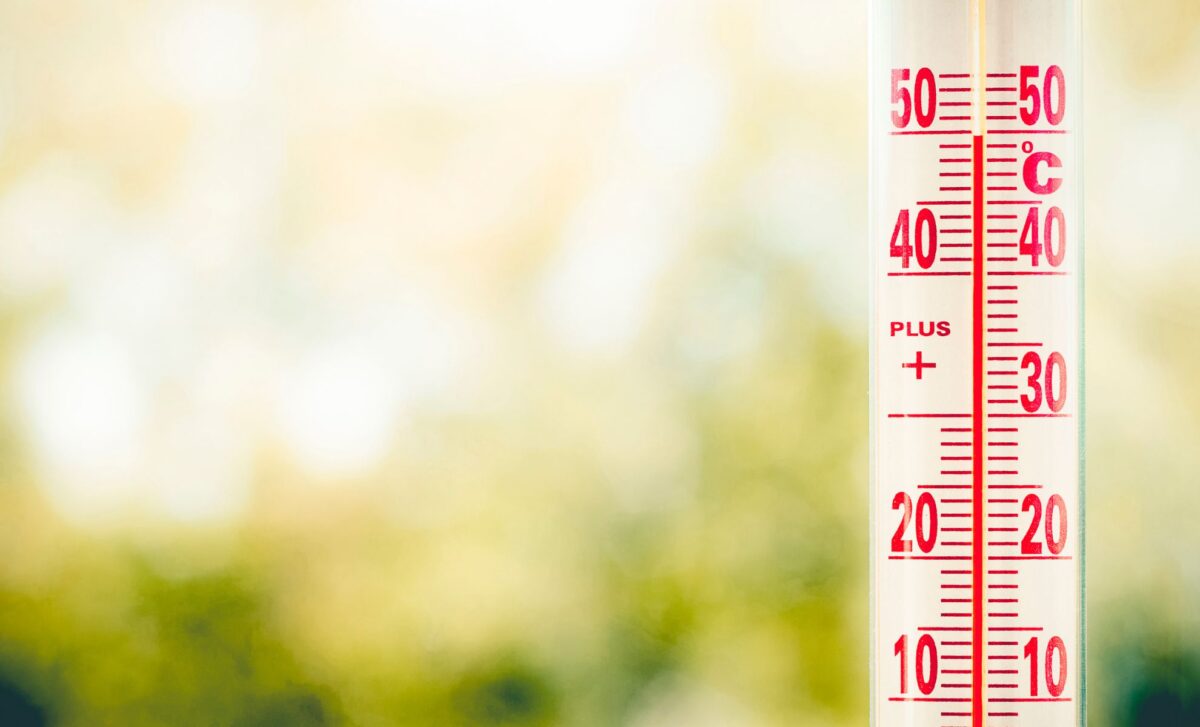 Jusqu'à 49 °C attendus : Météo Algérie alerte sur un week-end caniculaire dans ces wilayas !