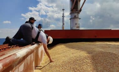 L'Algérie lance une grande commande de blé : une partie pourrait provenir de France