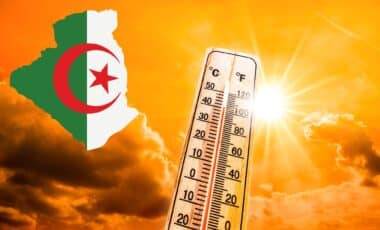 Climat : avec 48,8 °C, cette ville algérienne est classée la plus chaude au monde