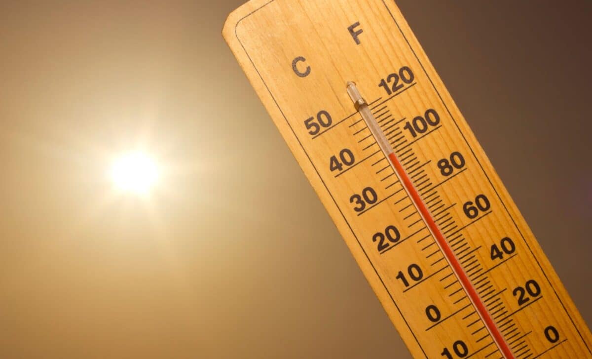 Météo Algérie : jusqu'à 49°C attendus, alerte canicule sur 19 wilayas du Nord et du Sud dès aujourd'hui