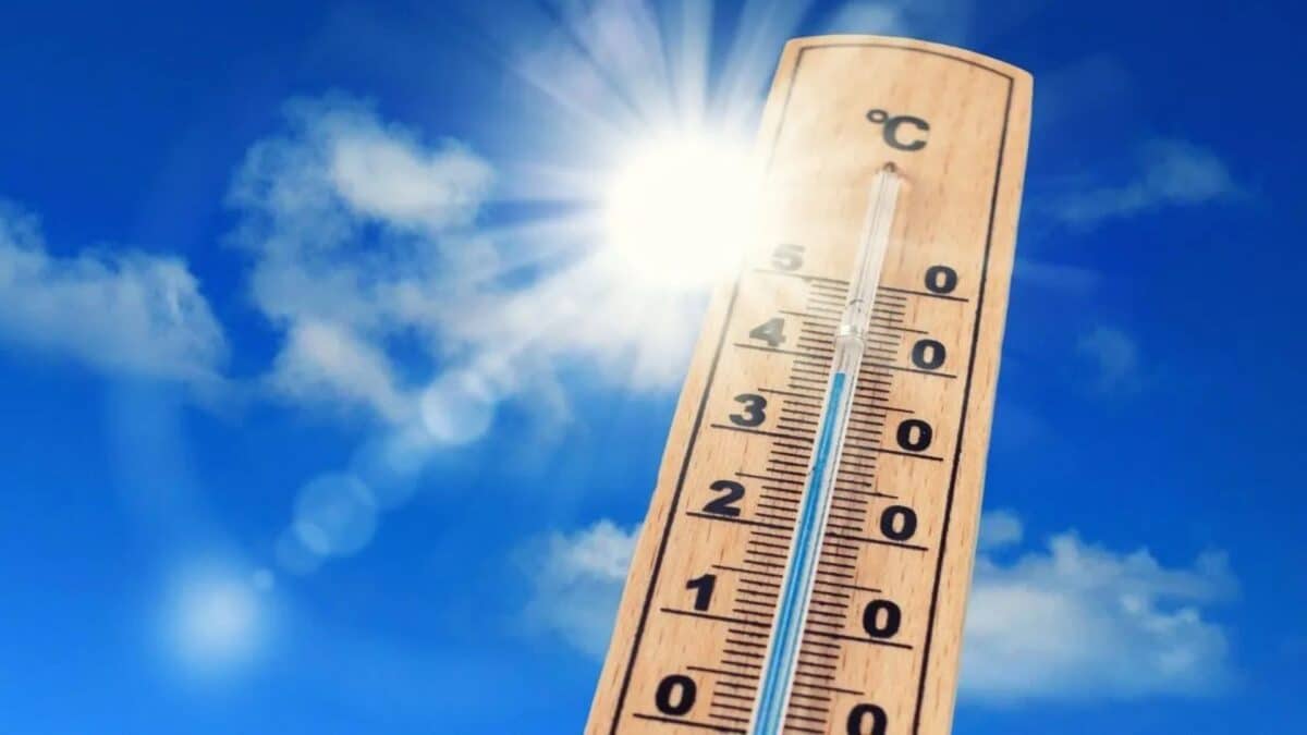 Météo Algérie : légère baisse des températures après l'épisode caniculaire