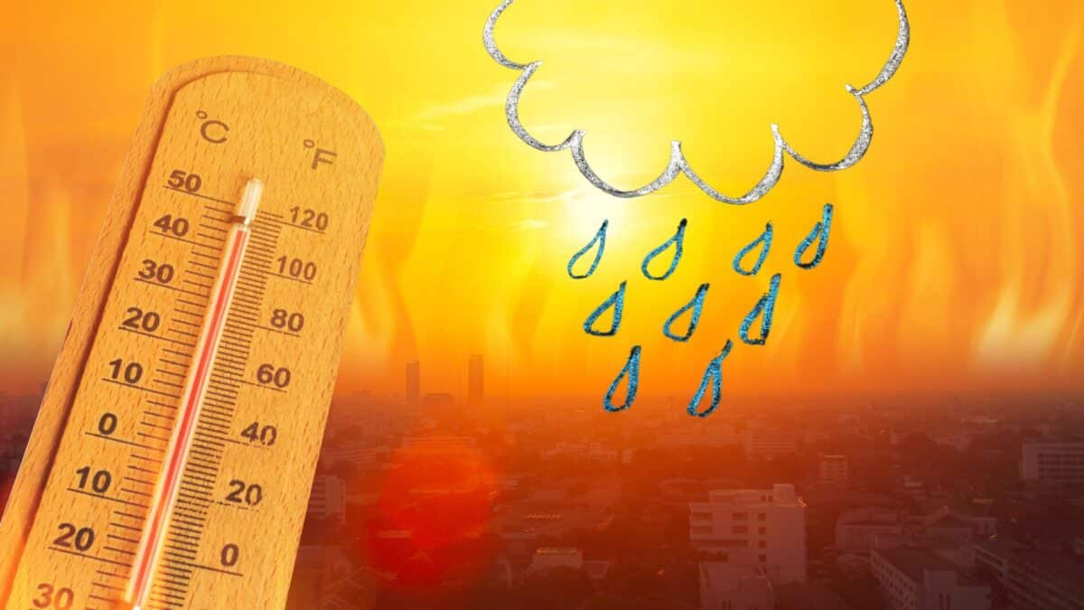 Météo Algérie : chaleurs intenses, pluies orageuses… les wilayas concernées
