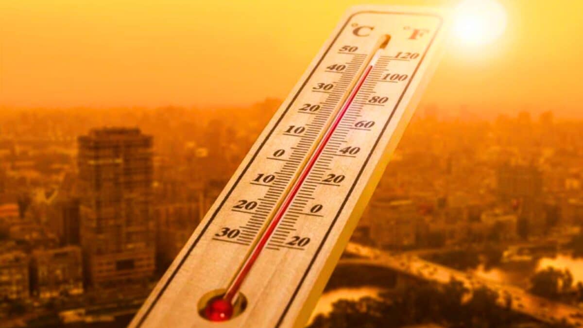 Jusqu'à 46 °C attendus : plusieurs wilayas du nord placées en alerte orange canicule par Météo Algérie