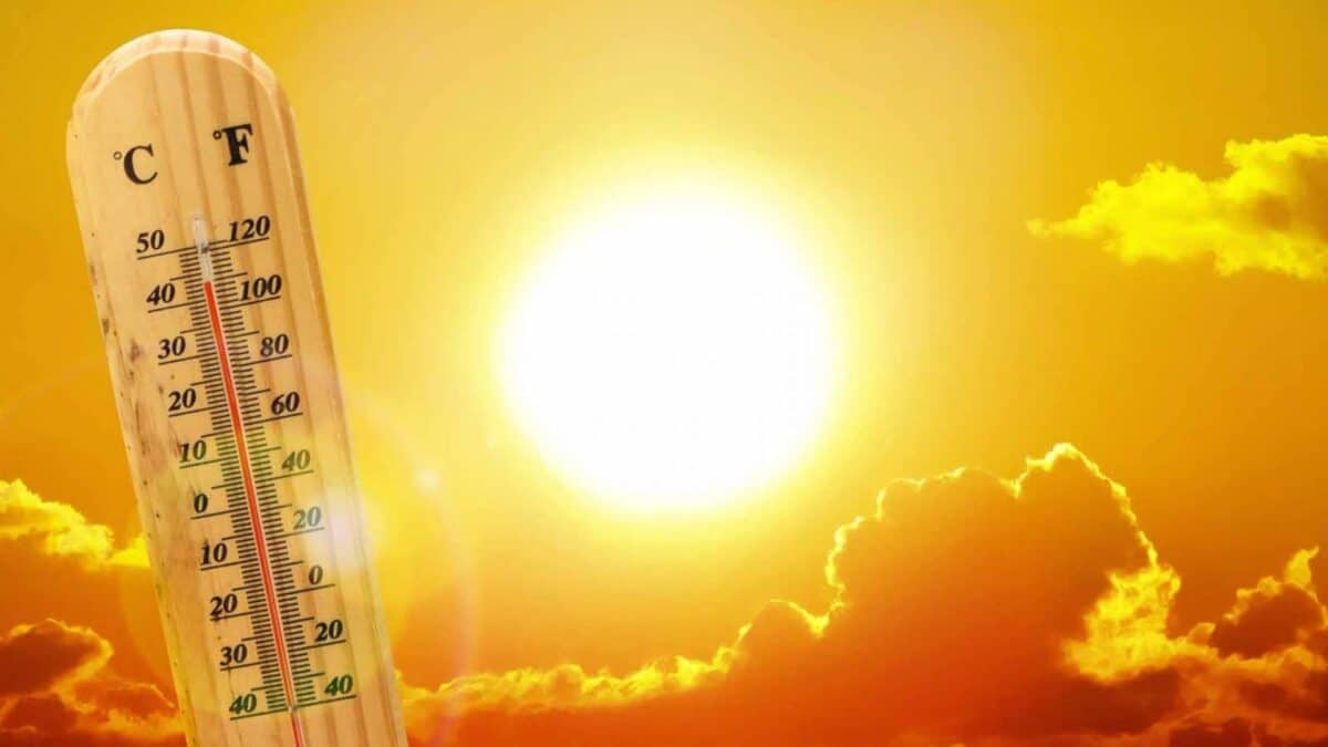 Météo Algérie : le thermomètre s'affole, alertes canicules de niveau orange sur ces wilayas du nord