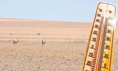 Météo Algérie : les canicules persistent au sud et touchent des wilayas du nord