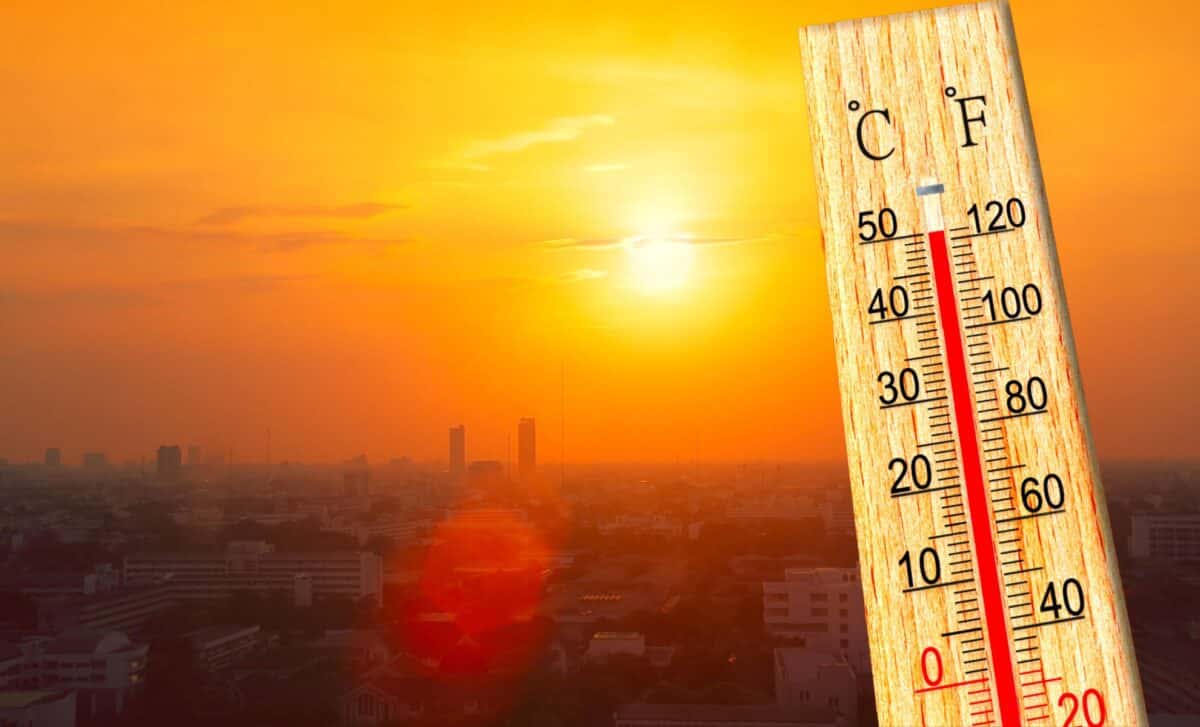 Météo Algérie : les températures demeurent extrêmes cette fin de semaine