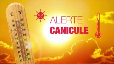 Météo Algérie : les canicules persistent, une alerte orange est émise pour ces wilayas du nord