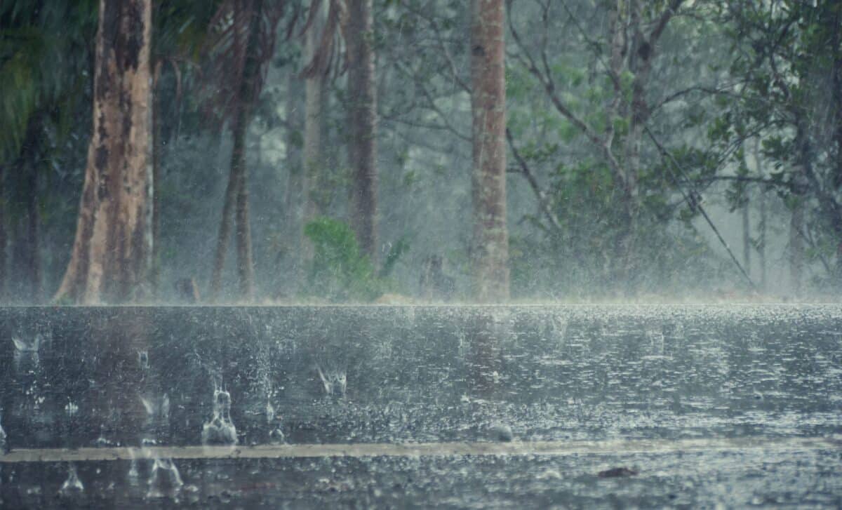 Météo automnale illustrée par des pluies