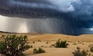 Météo pluvieuse au Sahara illustré par une photo d'un paysage de cette région