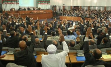 Les députés à l'APN qui votent le PLF 2025.