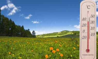 Météo printanière illustrée dans un paysage fleuri