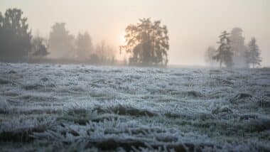 Météo avec des gelées matinales