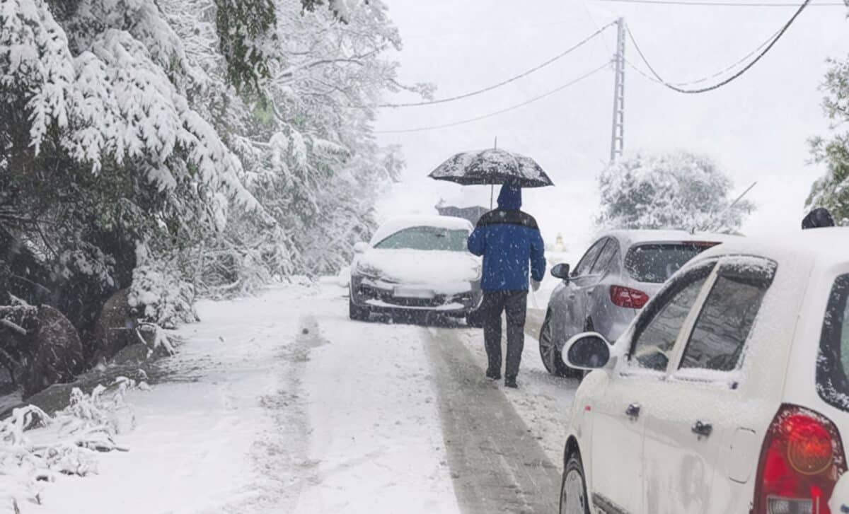 Une personne avec un parapluie marchant sous une météo agitée, avec des voitures qui roulent sur une route enneigée et verglaçante.