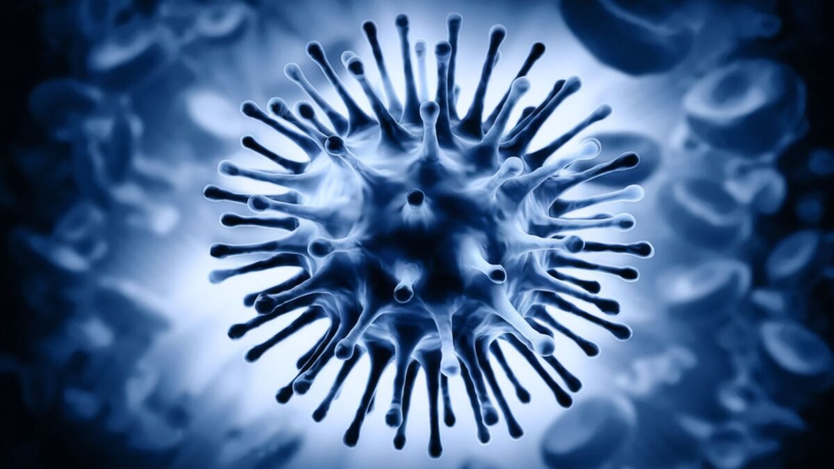 Une photo illustrative du virus de la grippe