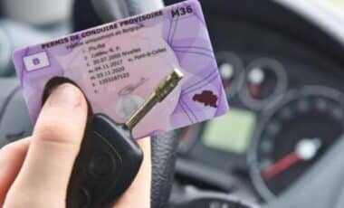 Permis De Conduire Belge