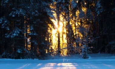 Neige Sur Les Hauteurs