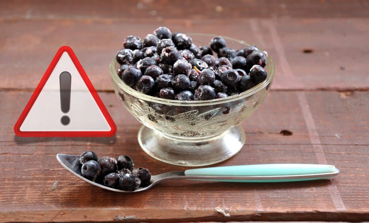 Myrtilles congelées