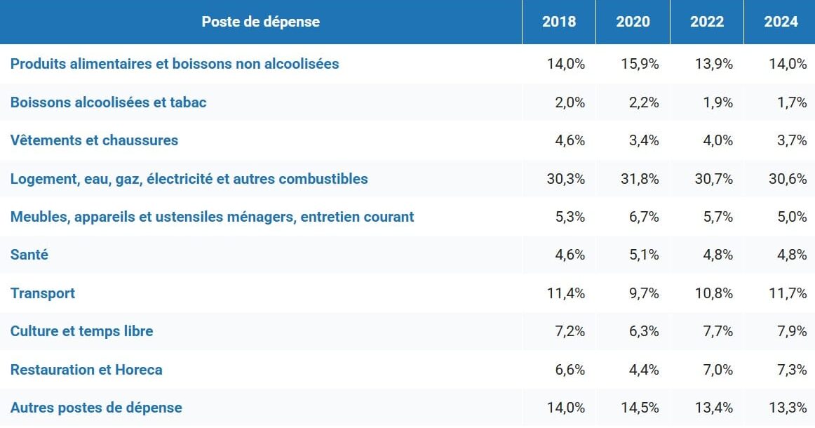 Alimentation, logement, transports... Où va vraiment l'argent des Belges ? argent