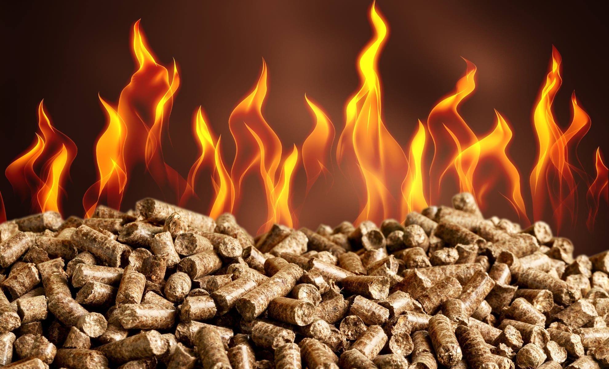 Econostrum.info - Edition Belgique bois de chauffage