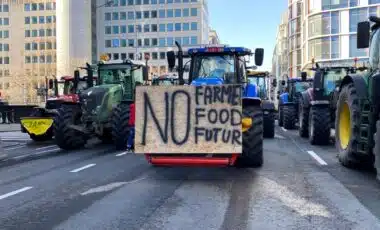 Manifestation à Bruxelles