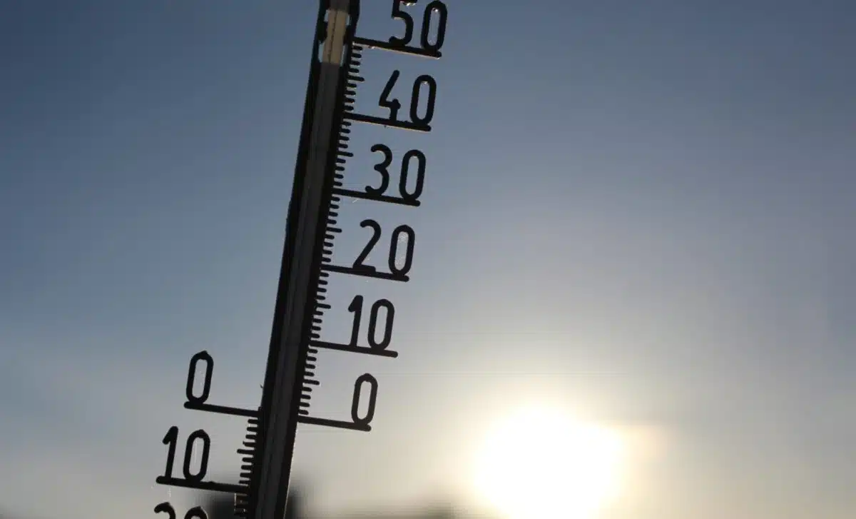 réchauffement climatique