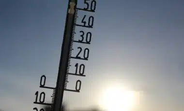 réchauffement climatique