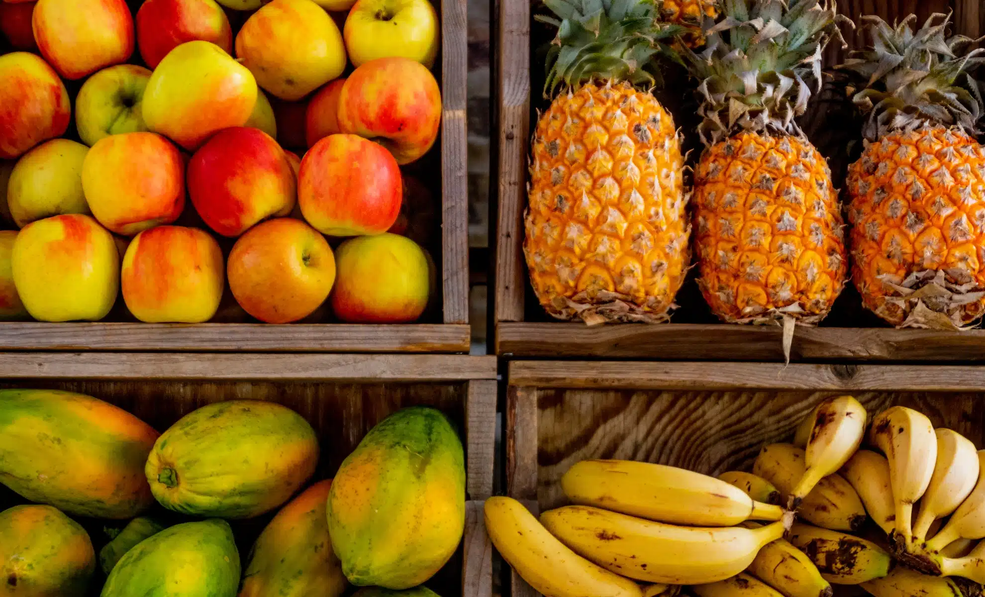 Econostrum.info - Edition Belgique fruit