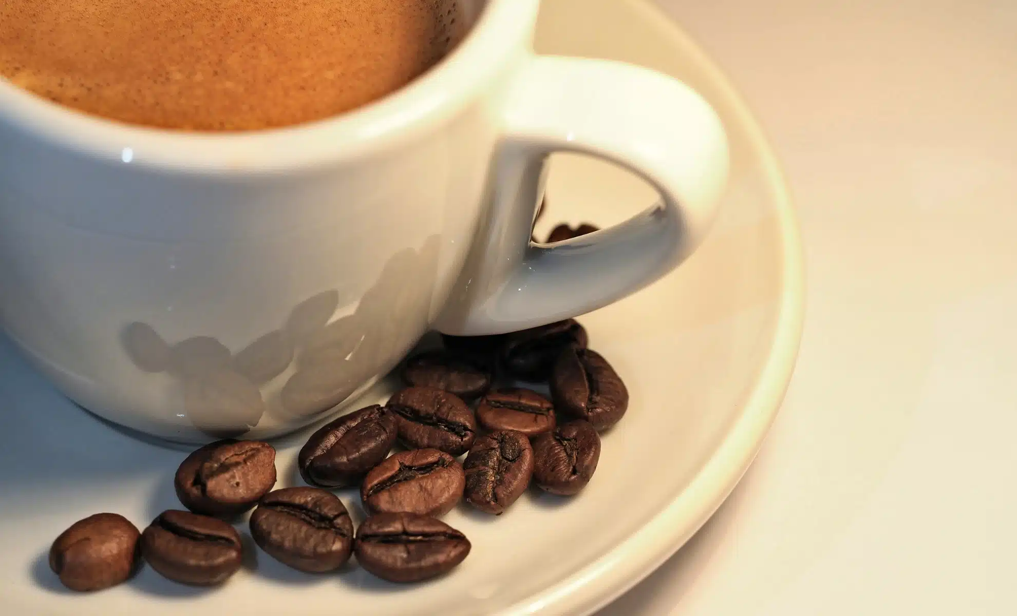 Econostrum.info - Edition Belgique Café