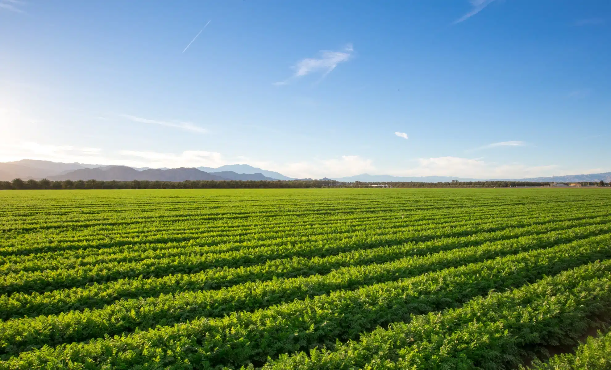 Econostrum.info - Edition Belgique Terres