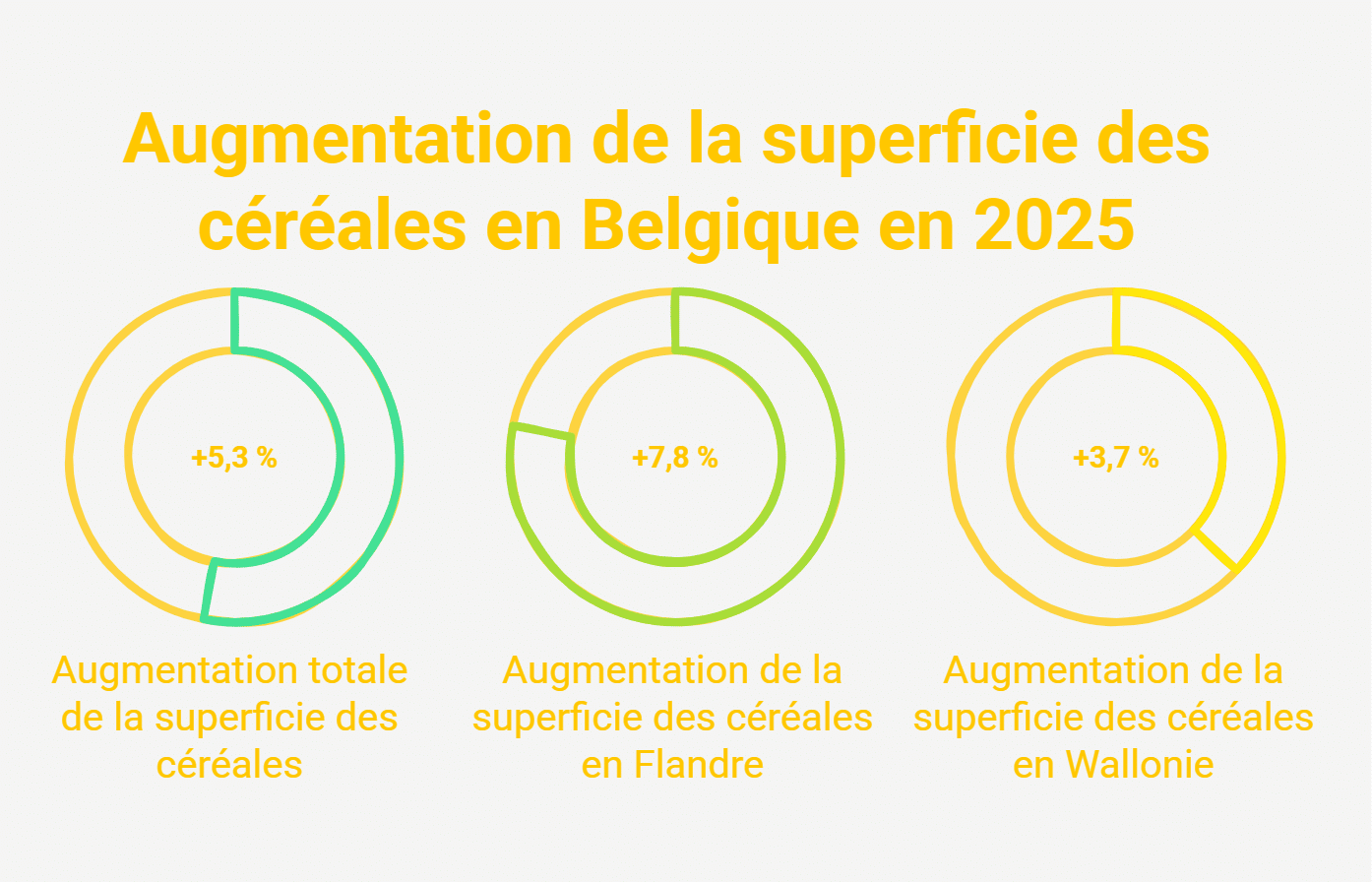 Les pommes de terre battent un record historique en Belgique Pommes de terre