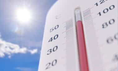canicule