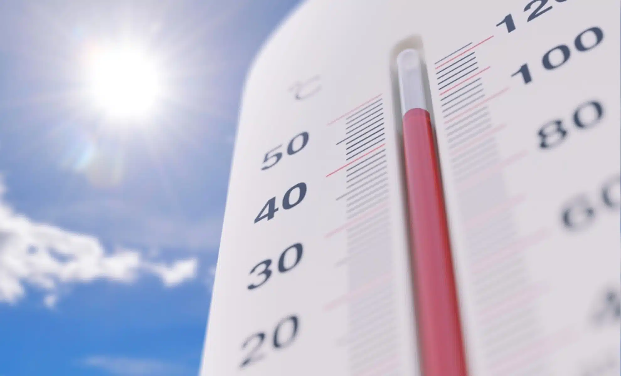 canicule
