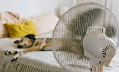 Électricité