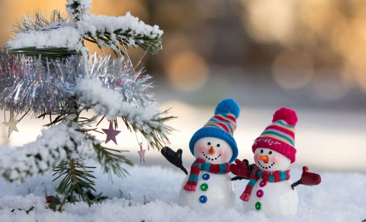 un petit sapin de Noël et deux bonhommes de neige