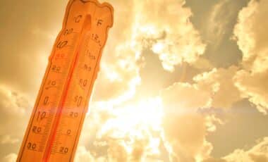 Température élevée