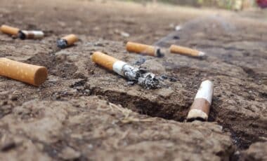 mégots de cigarettes au sol